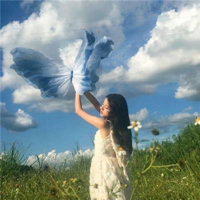 萨尔加多的凝视