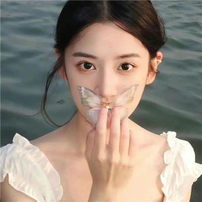 疯狂马迷